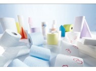 Paper Disposables / Sheets / Rolls / Tissue